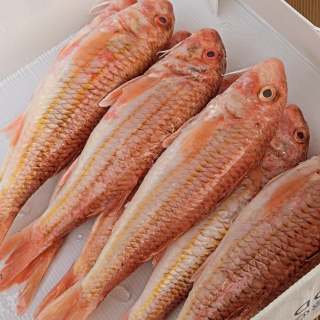 Colder weather = Stunning Fish