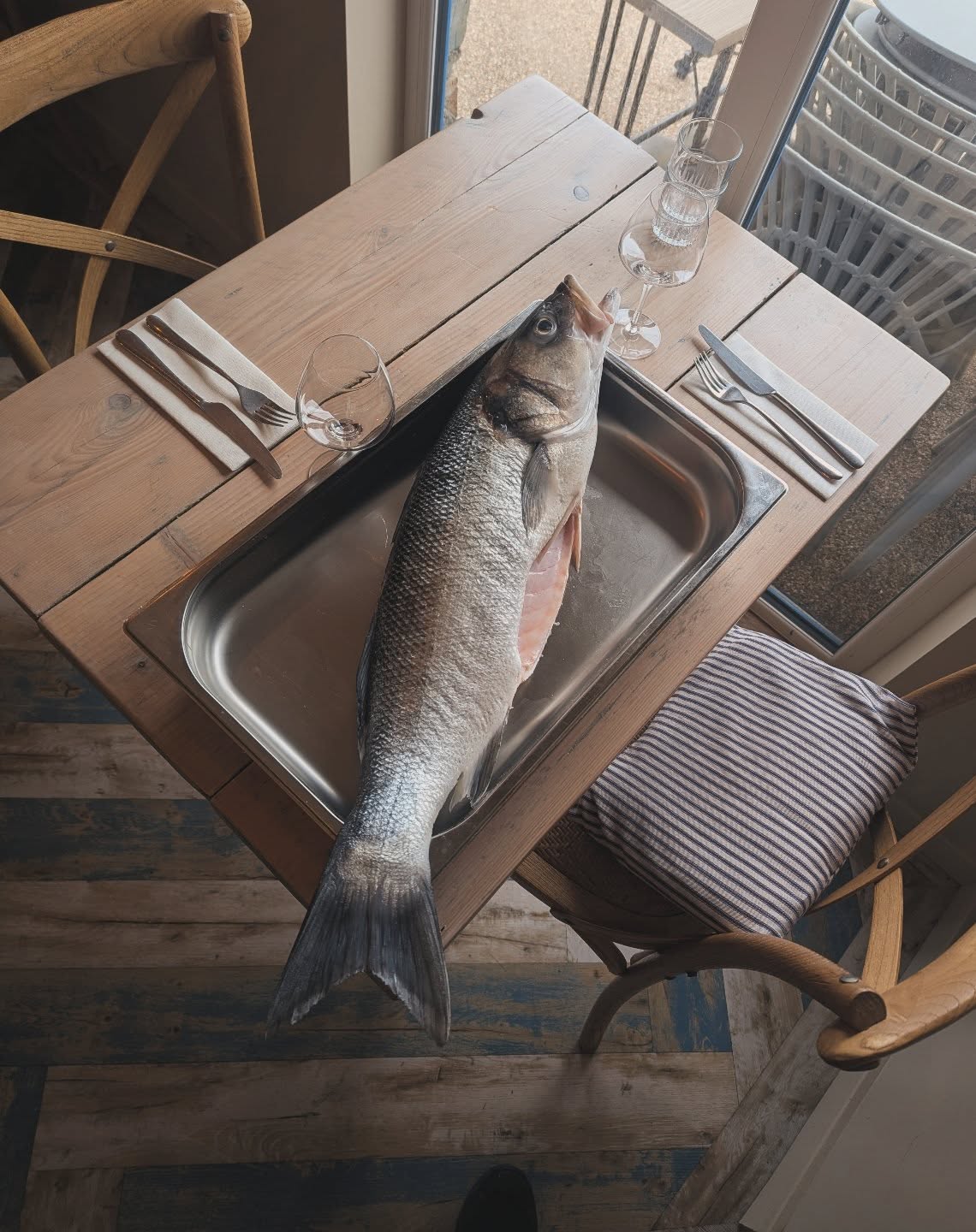 A whopper of Wild Sea Bass in on the Menu this week. 4.4kg